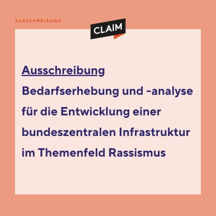 Bedarfserhebung und -analyse für die Entwicklung einer bundeszentralen Infrastruktur im Themenfeld Rassismus